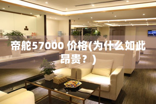 帝舵57000 價格(為什么如此昂貴？)