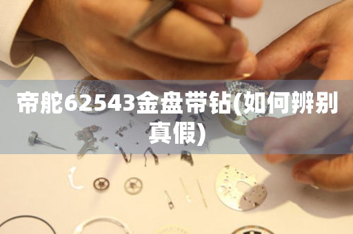 帝舵62543金盤帶鉆(如何辨別真假)