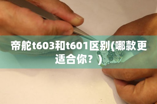 帝舵t603和t601區(qū)別(哪款更適合你？)
