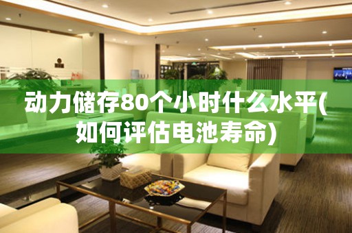 動(dòng)力儲(chǔ)存80個(gè)小時(shí)什么水平(如何評(píng)估電池壽命)