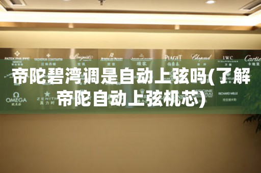 帝陀碧灣調(diào)是自動(dòng)上弦嗎(了解帝陀自動(dòng)上弦機(jī)芯)