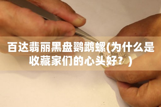 百達翡麗黑盤鸚鵡螺(為什么是收藏家們的心頭好？)