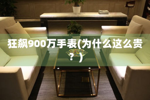 狂飆900萬(wàn)手表(為什么這么貴？)
