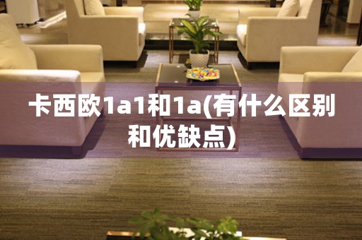 卡西歐1a1和1a(有什么區(qū)別和優(yōu)缺點(diǎn))