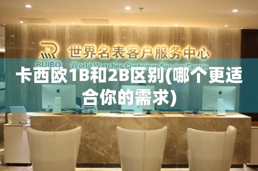 卡西歐1B和2B區(qū)別(哪個(gè)更適合你的需求)