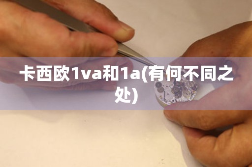 卡西歐1va和1a(有何不同之處)