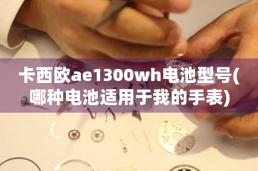 卡西歐ae1300wh電池型號(哪種電池適用于我的手表)