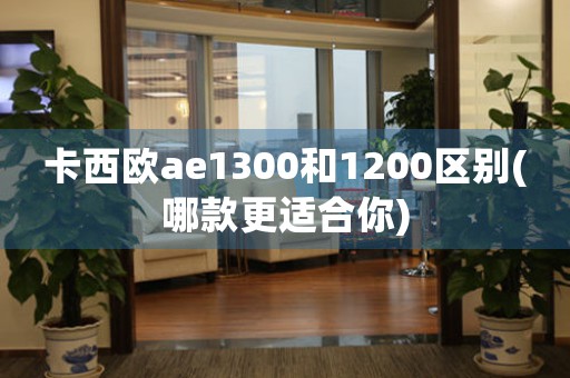 卡西歐ae1300和1200區(qū)別(哪款更適合你)