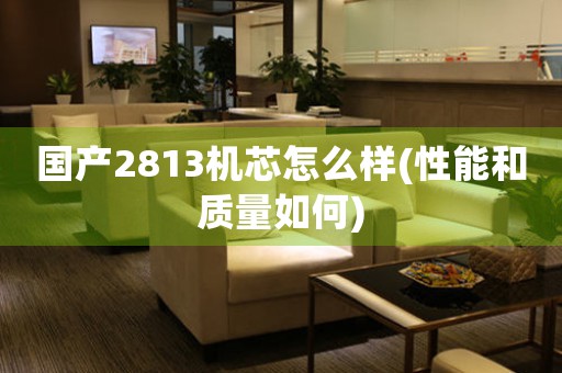 國(guó)產(chǎn)2813機(jī)芯怎么樣(性能和質(zhì)量如何)