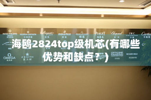 海鷗2824top級機芯(有哪些優(yōu)勢和缺點？)