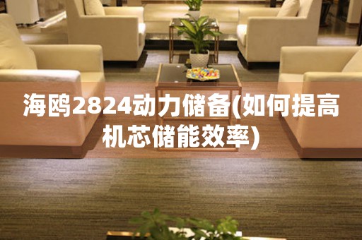 海鷗2824動力儲備(如何提高機芯儲能效率)