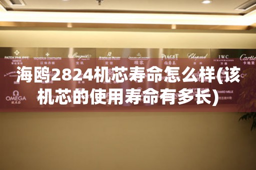 海鷗2824機芯壽命怎么樣(該機芯的使用壽命有多長)