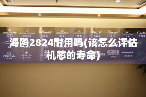 海鷗2824耐用嗎(該怎么評估機芯的壽命)