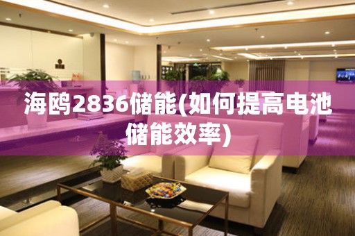 海鷗2836儲能(如何提高電池儲能效率)