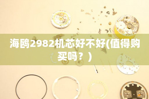 海鷗2982機芯好不好(值得購買嗎？)
