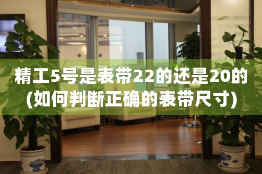 精工5號(hào)是表帶22的還是20的(如何判斷正確的表帶尺寸)