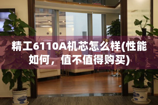 精工6110A機(jī)芯怎么樣(性能如何，值不值得購(gòu)買(mǎi))