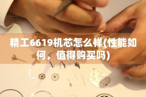 精工6619機芯怎么樣(性能如何，值得購買嗎)
