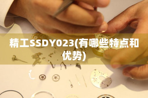精工SSDY023(有哪些特點(diǎn)和優(yōu)勢)