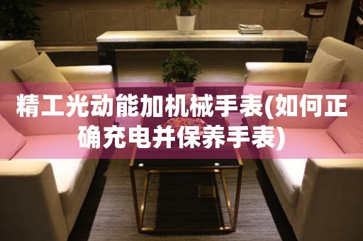 精工光動(dòng)能加機(jī)械手表(如何正確充電并保養(yǎng)手表)