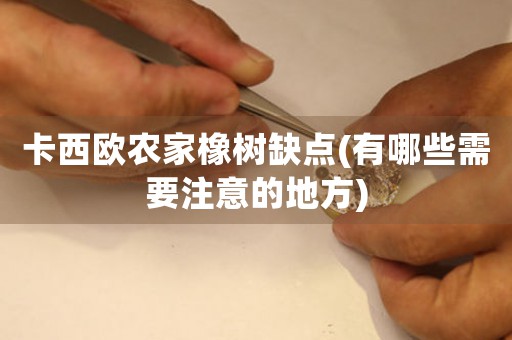 卡西歐農(nóng)家橡樹缺點(diǎn)(有哪些需要注意的地方)