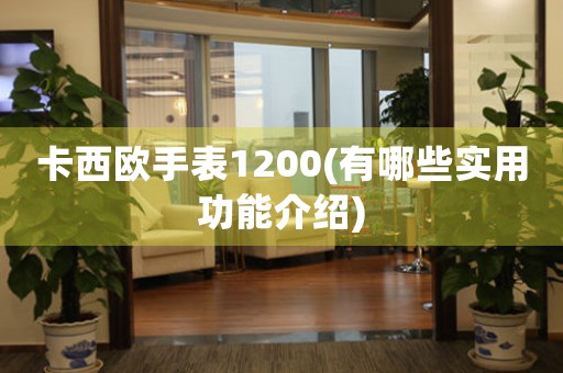 卡西歐手表1200(有哪些實用功能介紹)