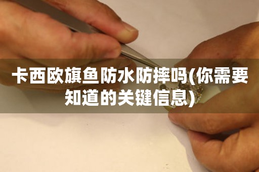 卡西歐旗魚防水防摔嗎(你需要知道的關(guān)鍵信息)