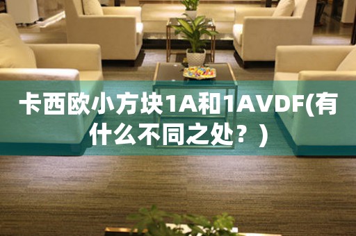 卡西歐小方塊1A和1AVDF(有什么不同之處？)
