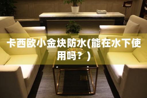 卡西歐小金塊防水(能在水下使用嗎？)