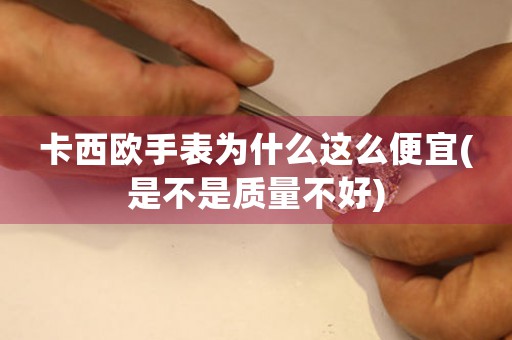 卡西歐手表為什么這么便宜(是不是質量不好)