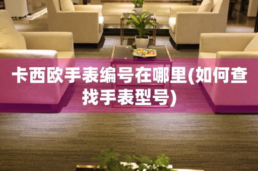 卡西歐手表編號在哪里(如何查找手表型號)