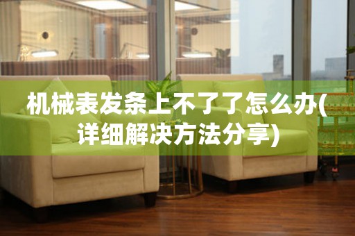 機(jī)械表發(fā)條上不了了怎么辦(詳細(xì)解決方法分享)
