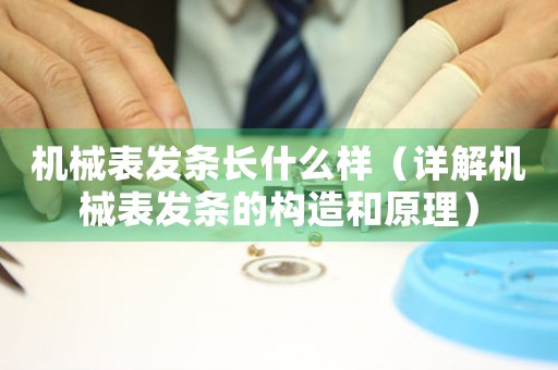 機械表發(fā)條長什么樣（詳解機械表發(fā)條的構(gòu)造和原理）
