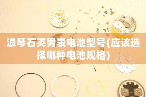 浪琴石英男表電池型號(應(yīng)該選擇哪種電池規(guī)格)