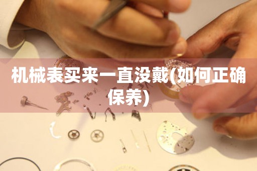 機械表買來一直沒戴(如何正確保養(yǎng))