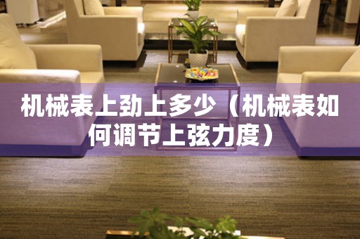 機(jī)械表上勁上多少（機(jī)械表如何調(diào)節(jié)上弦力度）