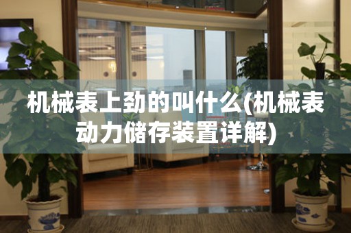 機(jī)械表上勁的叫什么(機(jī)械表動力儲存裝置詳解)
