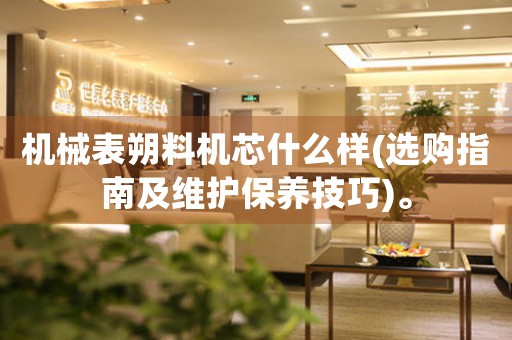 機械表朔料機芯什么樣(選購指南及維護(hù)保養(yǎng)技巧)。