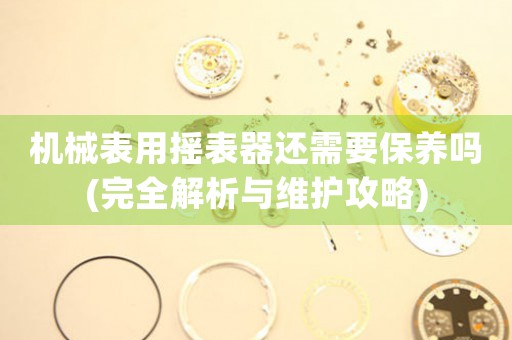 機(jī)械表用搖表器還需要保養(yǎng)嗎(完全解析與維護(hù)攻略)