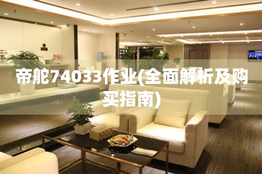 帝舵74033作業(yè)(全面解析及購買指南)