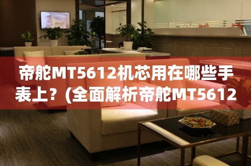 帝舵MT5612機(jī)芯用在哪些手表上？(全面解析帝舵MT5612機(jī)芯應(yīng)用品牌及型號)