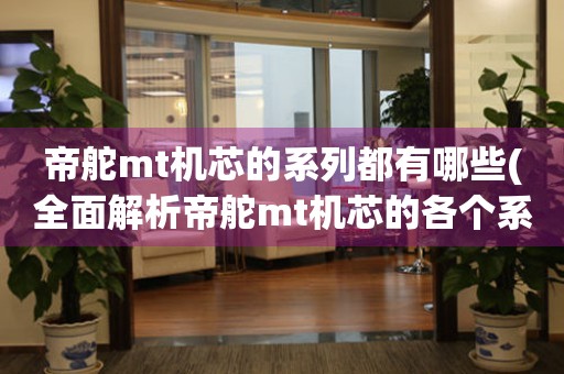 帝舵mt機(jī)芯的系列都有哪些(全面解析帝舵mt機(jī)芯的各個系列特點)。