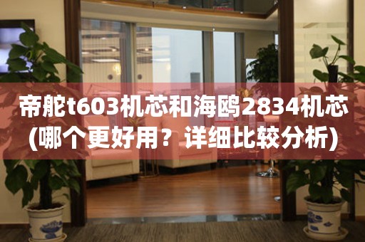 帝舵t603機芯和海鷗2834機芯(哪個更好用？詳細比較分析)