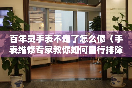 百年靈手表不走了怎么修（手表維修專家教你如何自行排除故障）