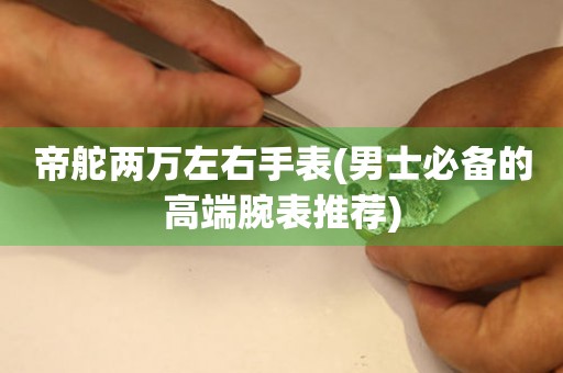 帝舵兩萬(wàn)左右手表(男士必備的高端腕表推薦)