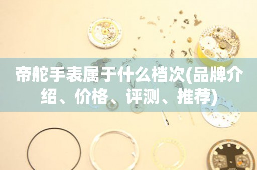 帝舵手表屬于什么檔次(品牌介紹、價(jià)格、評(píng)測(cè)、推薦)