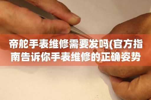 帝舵手表維修需要發(fā)嗎(官方指南告訴你手表維修的正確姿勢(shì))