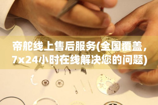 帝舵線上售后服務(wù)(全國覆蓋，7x24小時在線解決您的問題)