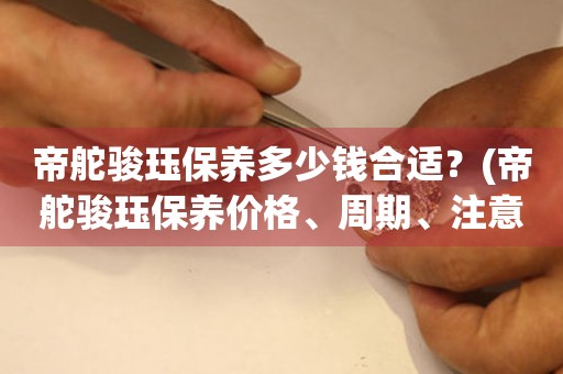 帝舵駿玨保養(yǎng)多少錢合適？(帝舵駿玨保養(yǎng)價(jià)格、周期、注意事項(xiàng)一網(wǎng)打盡)