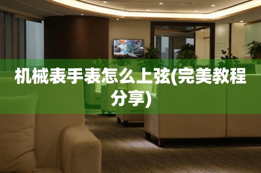 機(jī)械表手表怎么上弦(完美教程分享)